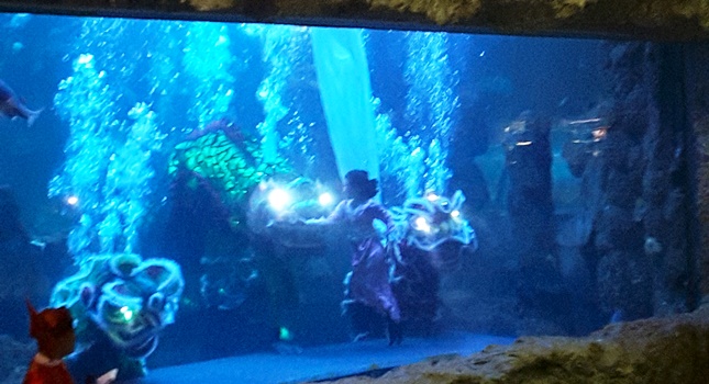 Pertunjukan Cerita Yin dan Yang Akan Digelar di Akuarium Utama Sea World , Anco, Menyambut Imlek. (Foto : Amz)