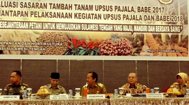 Sulawesi Tengah Surplus Beras