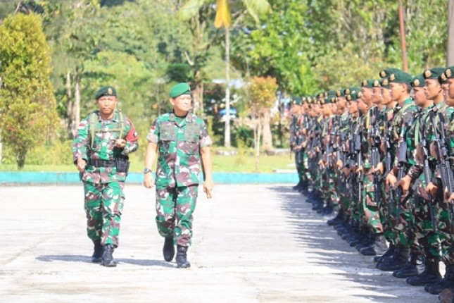 Satgas Yonif Raider Kostrad Disambut Danrem Pvb