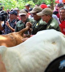 Peternak sapi (foto Dok Industry.co.id)