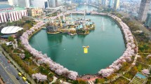 Festival Cherry Blossom Seokchonhosu Lake (Foto: news.sbs.co.kr)
