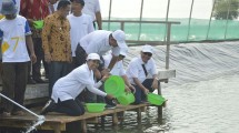 Menteri Badan Usaha Milik Negara (BUMN), Rini M. Soemarno Meninjau Langsung kawasan Perhutanan Sosial Muara Gembong di Kabupaten Bekasi, Provinsi Jawa (Foto: Istimewa)