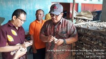 Pemeriksaan kwatilitas bawang putih