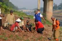 Mentan Andi Amran Sulaiman (Dok Industry.co.id)