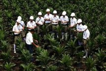 Asian Agri (Foto Dok Industry.co.id)