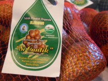 Buah Salak