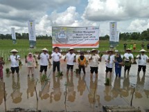 BNI dukung gerakan tanam di daerah