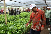 Mentan Andi Amran Sulaiman (Dok Industry.co.id)