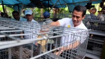 Mentan Andi Amran Sulaiman (Dok TribunNews)