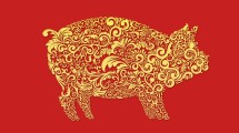 Ilustrasi tahun Babi