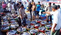 Ikan-Ikan yang berasal dari perairan Nusantara siap diolah jadi makanan lezat dan bergizi
