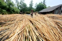 Bahan Baku Rotan