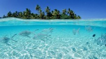 Kepulauan Selayar (Ist)