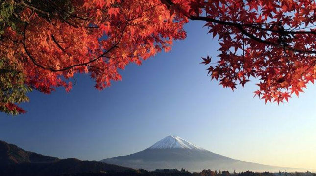 Musim Gugur di Gunung Fuji (Foto:wallup.net)