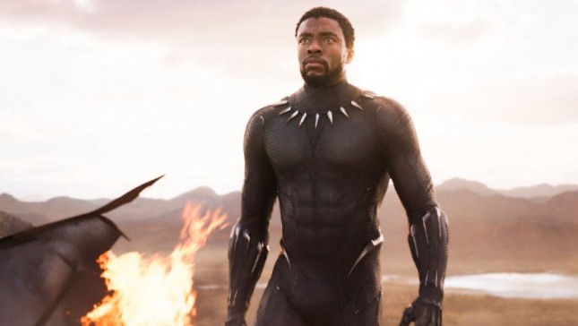 T'Challa, Raja Wakanda dalam film Black Panther, diperankan oleh Chadwick Boseman. (Dok Industry.co.id)