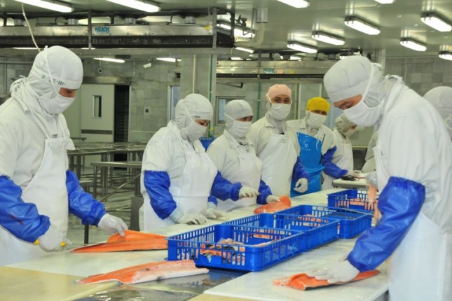 Industri pengolahan ikan (Dok KKP) 
