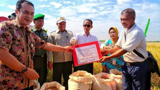 Panen 400 Hektar di Sambas Siap Penuhi Cadangan Beras Pemerintah (Foto Dok Industry.co.id)