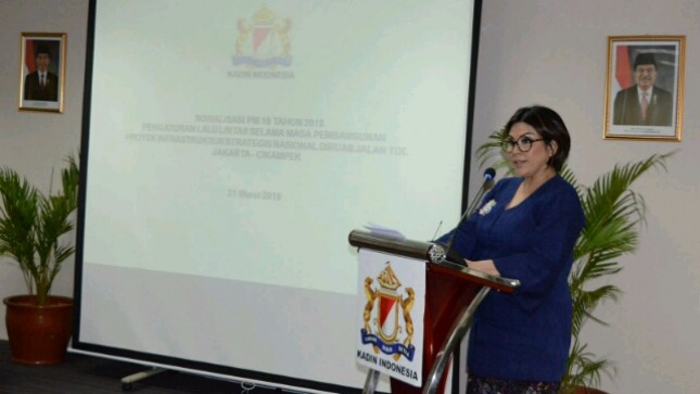 Wakil Ketua Umum Kadin Indonesia Bidang Perhubungan, Carmelita Hartoto