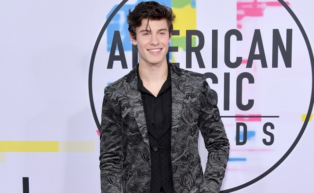 Penyanyi Shawn Mendes. (Foto: Billboard)