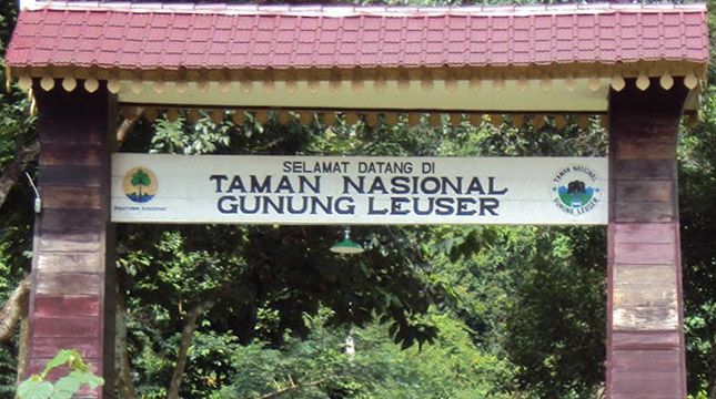 Taman Nasional Gung Leuser (TNGL) (ilmuhutan.com)