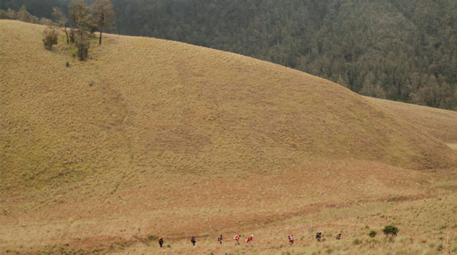 Mendaki Gunung Semeru Hati Hati Ada Jalur Pelintasan 