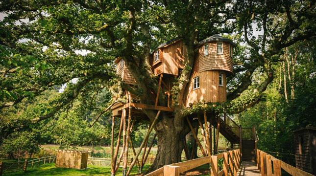 Treetops Treehouse, Rumah Pohon yang berada di Fox & Hounds Country Hotel di Eggesford, Devon, Inggris (Foto: Media Drum World)