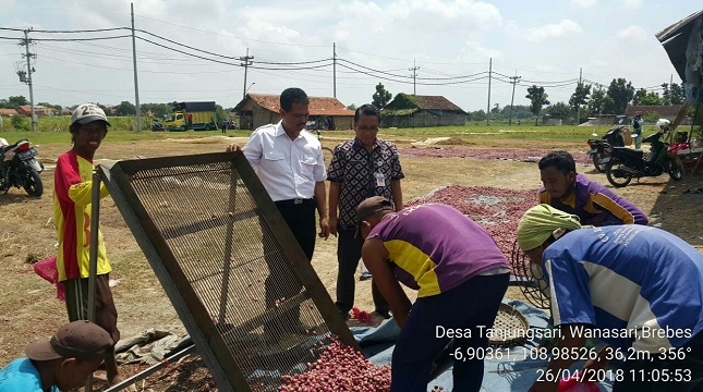 Direktur Jenderal Hortikultura, Kamis (26/4/2018), mengunjungi Kabupaten Brebes yang merupakan sentra bawang merah