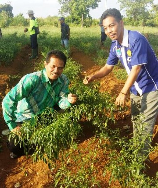 Dirjen Hortikultura Kementan Suwandi (Foto Dok Industry.co.id)