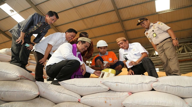 Mentan Amran Sulaiman saat tinjau jagung sebagai pakan ternak