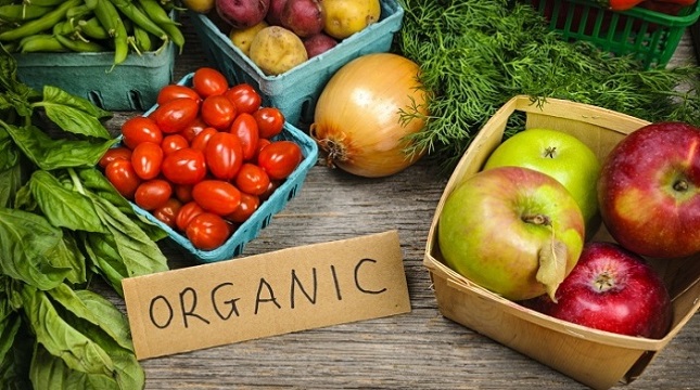Ilustrasi sayuran organic