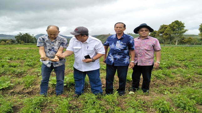 Direktur Sayuran dan Tanaman Obat Ditjen Hortikultura, Prihasto Setyanto