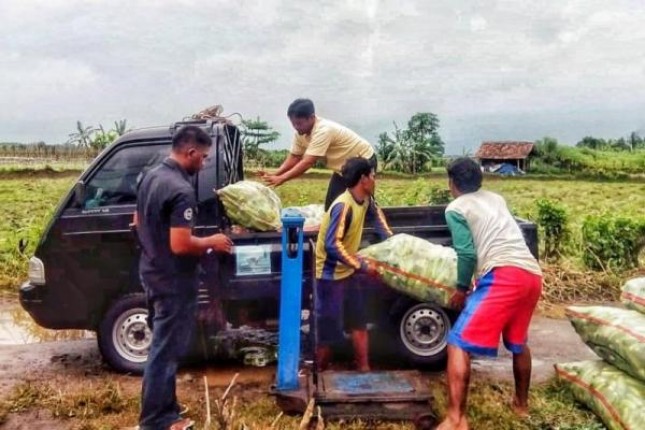 Lahan kering di Banten sukses dikembangkan