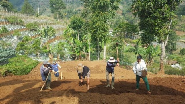 Petani Muda Siap Dorong Indonesia menjadi Lumbung Pangan Dunia