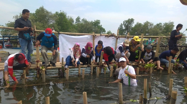 Jababeka Infrastruktur - PT NSMI Lakukan Penanaman 1000 Pohon Mangrove di PPI Paljaya Bekasi