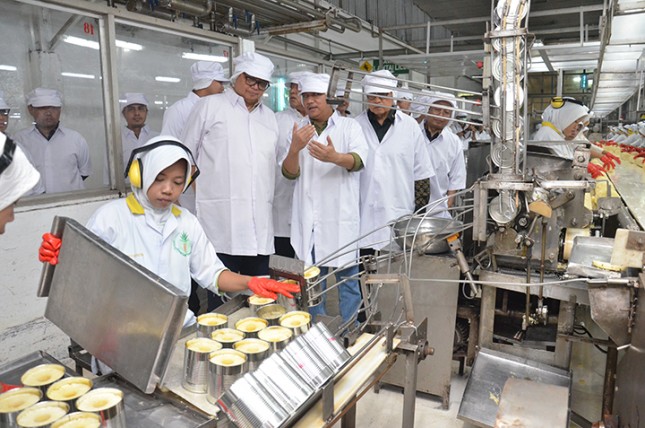 Menteri Perindustrian Airlangga Hartarto meninjau proses pengemasan nanas dalam kaleng di pabrik PT Great Giant Pinapple,Lampung (Foto: Kemenperin) 