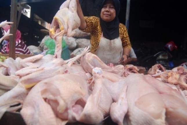 Penjual Ayam Potong di Pasar