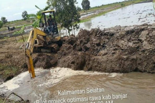 Pilot projec optimasi lahan rawa di Kalimantan