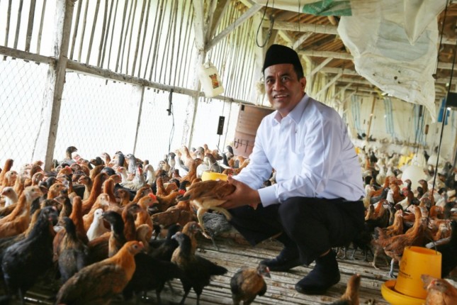 Mentan Amran Sulaiman di peternakan ayam