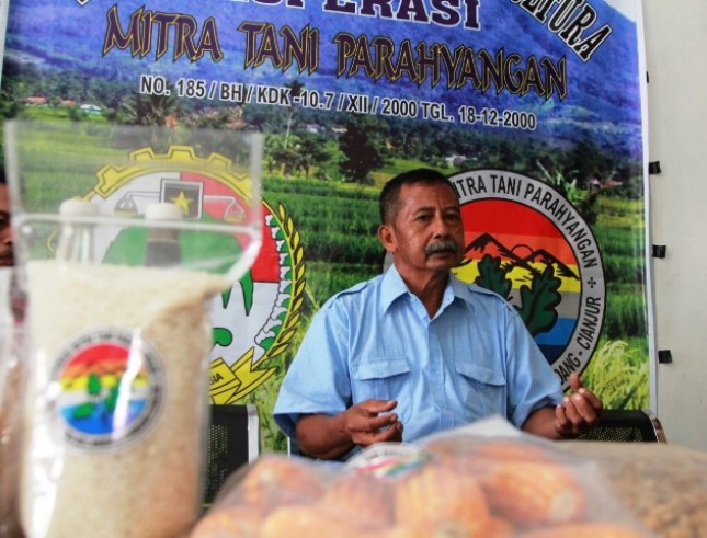Koperasi Mitra Tani Parahyangan, Cianjur akan mengembangan produksi jagung melalui sistem perubahan pola tanam dan pola panen. 