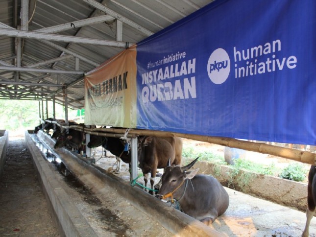 Human Initiative laksanakan qurban ke masyarakat