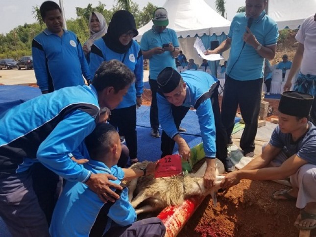 Direktur Utama Al-Azhar Memorial Garden, Nugroho Adiwiwoho saat menyembelih salah satu hewan qurban yang dagingnya akan dibagikan kepada masyarakat sekitar