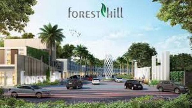 Forest Hill (Foto Dok Industry.co.id)