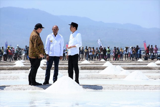 Menteri Perindustrian Airlangga Hartarto saat mendampingi Presiden Joko Widodo saat meninjau panen produksi perdana garam premium di Kupang, NTT