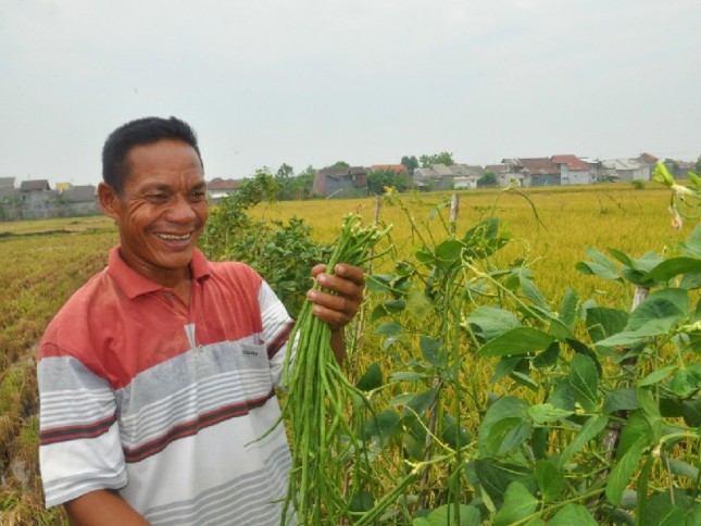 Petani di Pasuruan membawa hasil kebun, kacang panjang, sebagai symbol nutrisi