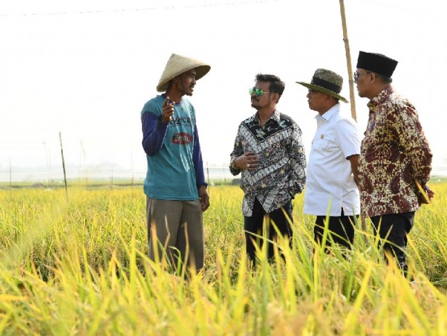 Mentan Syahrul Yasin Limpo bersama petani di persawahan