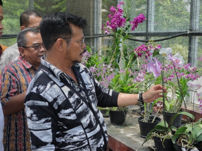 Mentan Syahrul Yasin Limpo meninjau tanaman hias