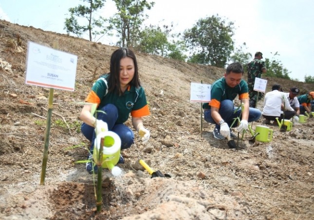 Aksi Peduli Lingkungan, MPM Group Tanam Ribuan Bambu 