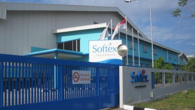 PT Softex Indonesia mulai memproduksi dan memasarkan produk-produk pembalut wanita pertama di Indonesia pada tahun 1976. 