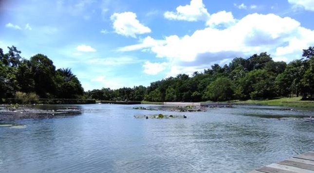 Danau Dora, Cibinong