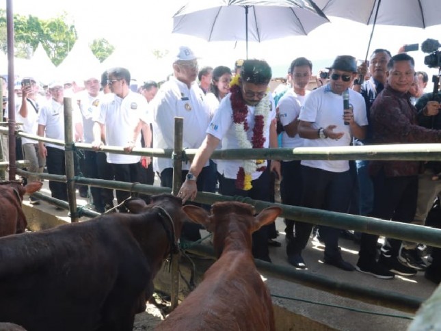 Menteri Pertanian Syahrul Yasin Limpo menyaksikan pedet di Sumut